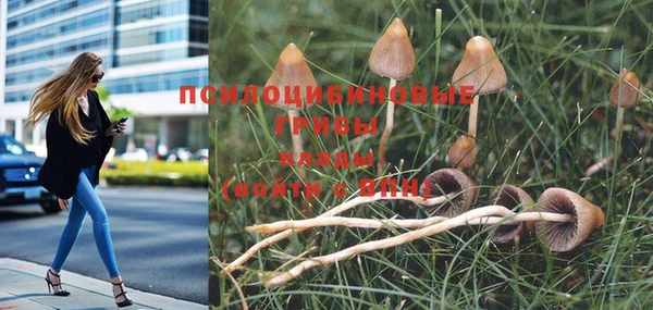 меф VHQ Каменногорск