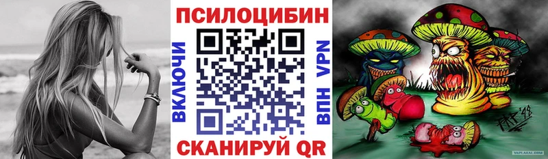 Галлюциногенные грибы Psilocybine cubensis  Купить где  Полысаево 