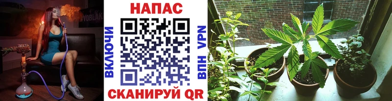 Купить где  Полысаево  Бошки Шишки AK-47 
